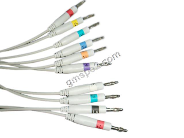 EKG Banan AHA Leitdraht-.jpg