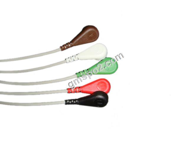 5-Leiter-Aha-Snap-.jpg 5-lead aha snap-.jpg